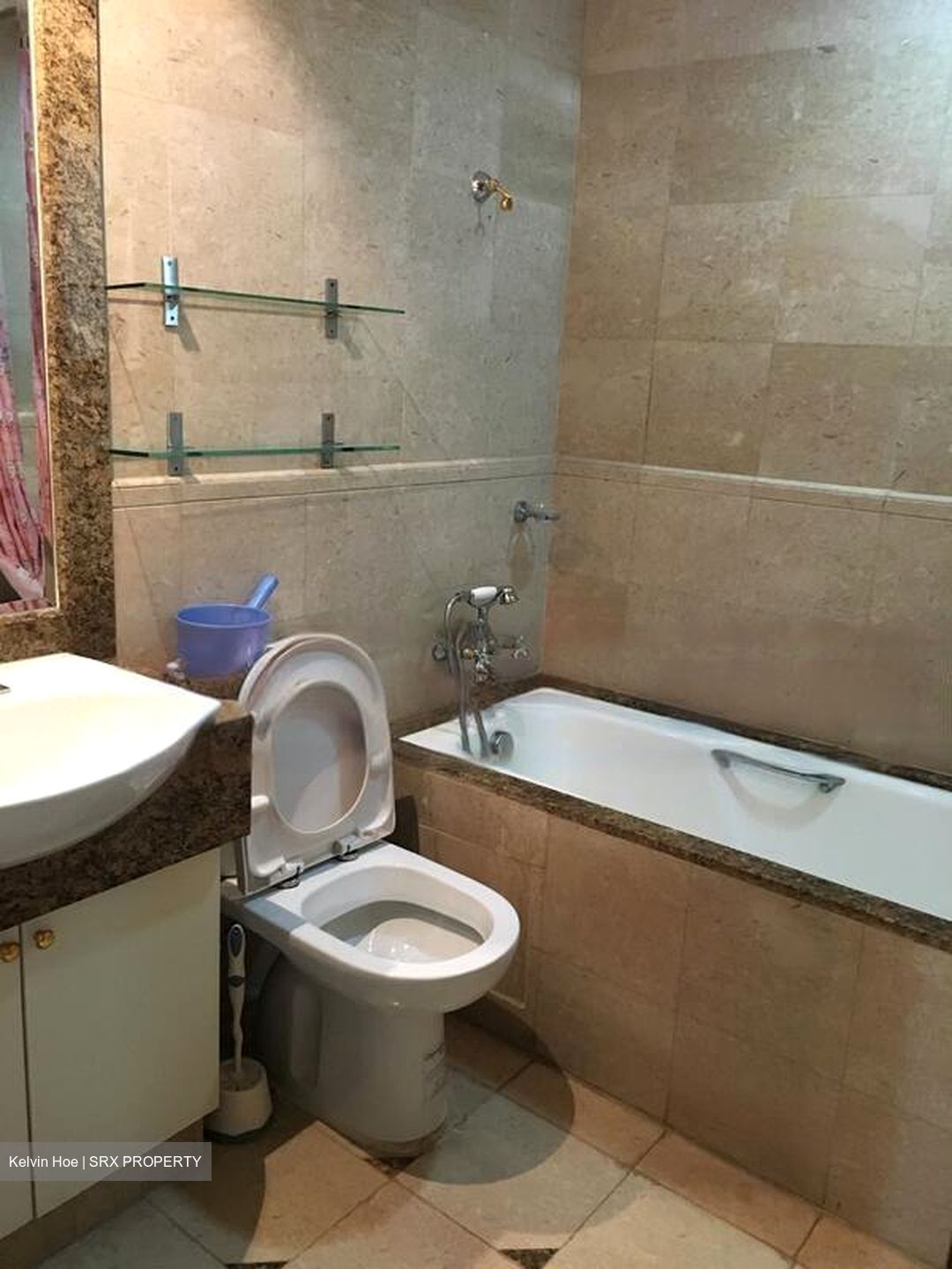 Valley Park (D10), Condominium #452241031